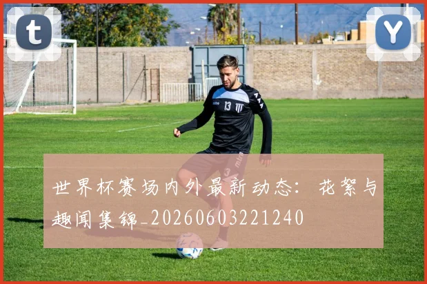 世界杯赛场内外最新动态:花絮与趣闻集锦_20260603221240